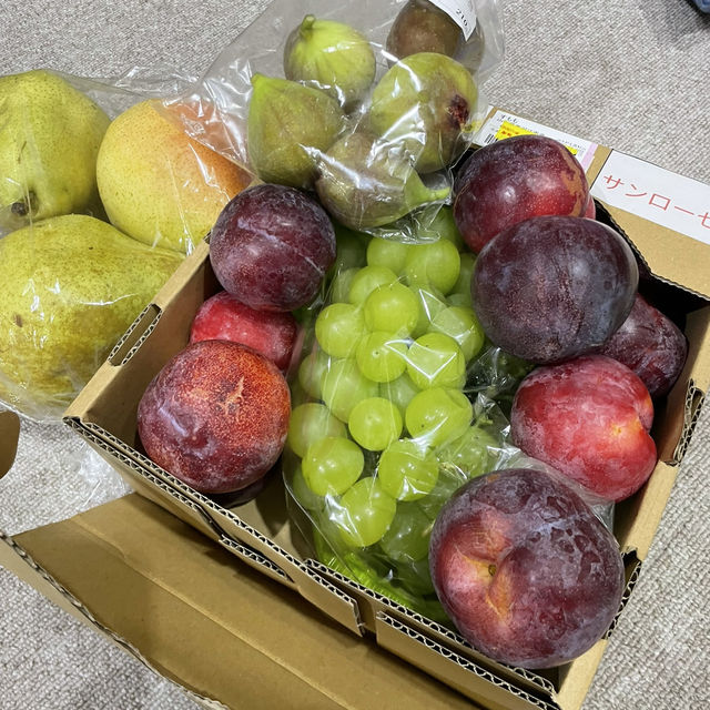 寒河江2日間|初めて行く寒河江の初心者攻略