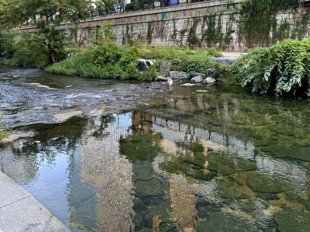 지금 가야할 걷기 좋은 청계천&흥인지문공원🏞