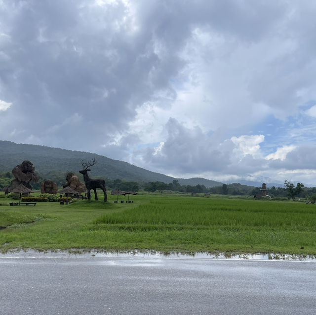 ห้วยตึงเฒ่าเชียงใหม่ วิวสวย บรรยากาศดี 
