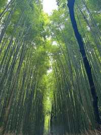 京都嵐山🎋值得你留下時間半日慢遊