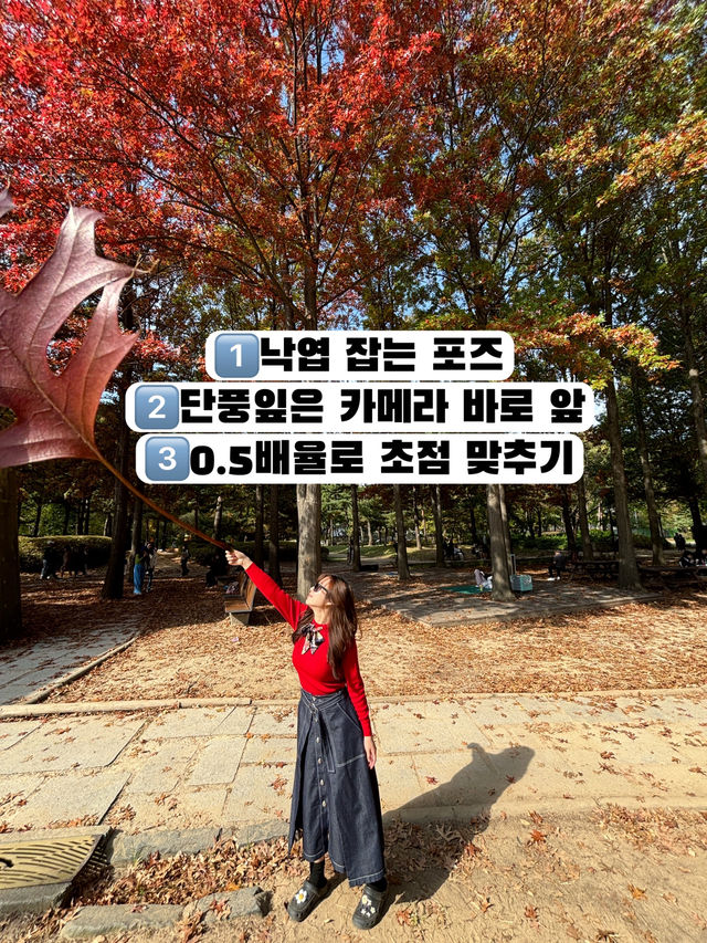 할미 주목👵요즘 MZ는 이렇게 사진 찍는다며?