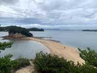 オリーブの島🫒小豆島