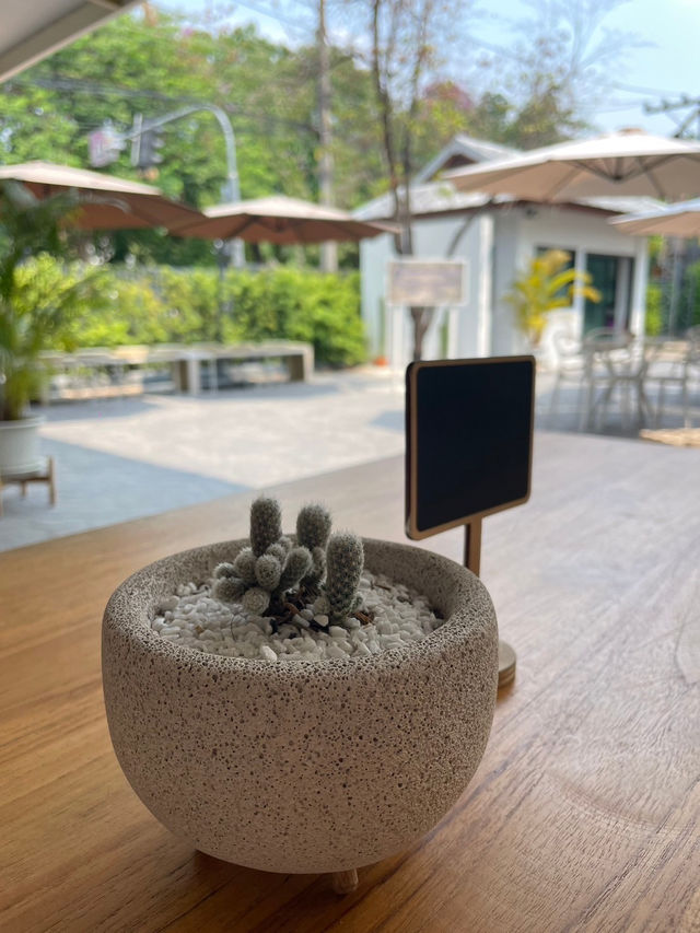 Area 41 Coffee&Cafe📍