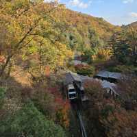 🍁🍂가을을 온전하게 느낄 수 있는 화담숲🍁🍂
