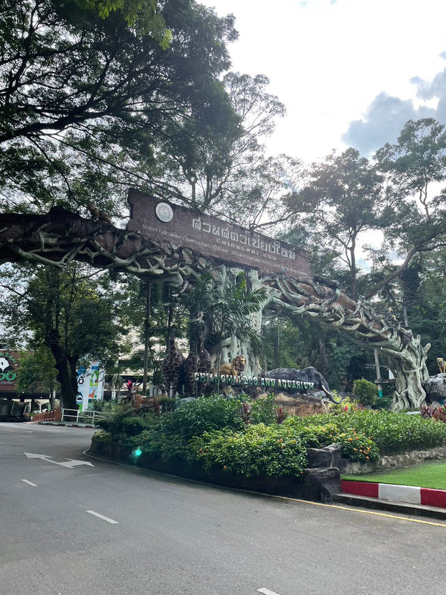 สวนสัตว์เชียงใหม่🐼