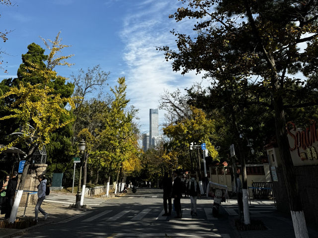 팔대관(八大关)은 뭐하는 곳일까요?!