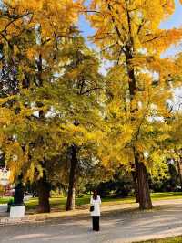 Discovering Geneva's Hidden Gems!