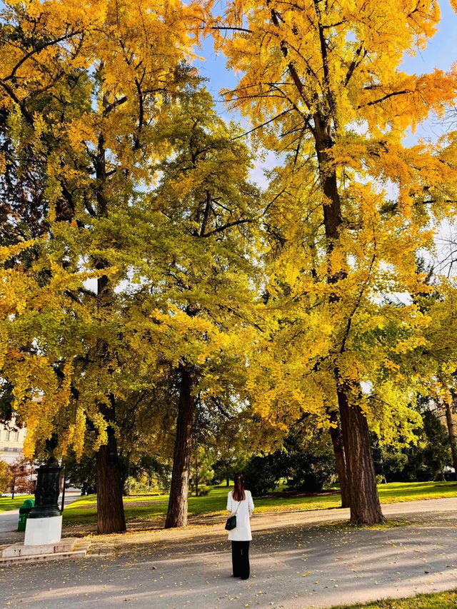 Discovering Geneva's Hidden Gems!