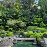 浮間公園：小橋流水🌸🏞️