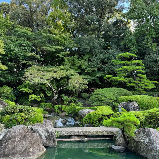 浮間公園：小橋流水🌸🏞️