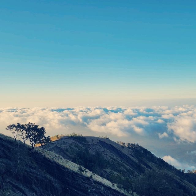  เดินป่าภูเขาไฟที่ยังไม่ดับ Mt.Rinjani 