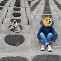 西貢地質公園奧秘😎