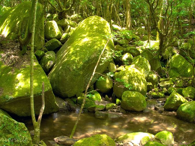 【三重県】ここが三重県！？異国のような海の色の「オハイ」