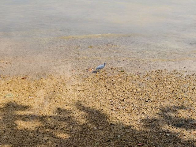 หาดไร่เลย์ ตะวันออก เที่ยวทะเลกระบี่ 