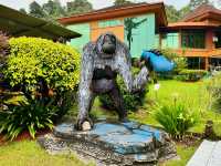 Experiencing Semenggoh Wildlife Centre