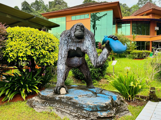 Experiencing Semenggoh Wildlife Centre