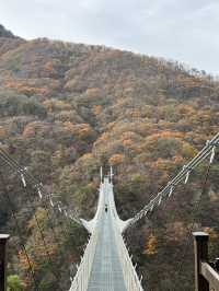 (실시간) 가을을 맞아 더욱 아름다워진 진안 운일암반일암 출렁다리🍁🤎