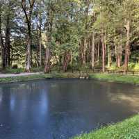 Discover the scenic YangMingShan national park