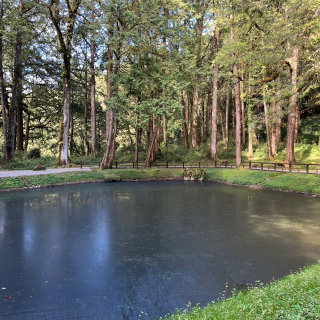 Discover the scenic YangMingShan national park