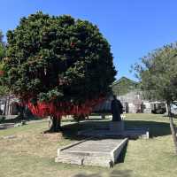 深圳文化遺址✨大鵬協台衙門遺址✨