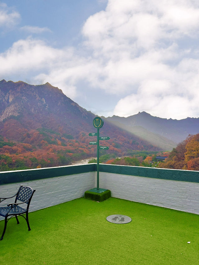 가을 설악산에 내려앉은 빨간 단풍이불 🍂🍁
