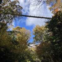 Hoshida Park และ สะพานแขวน Hoshi no Buranko