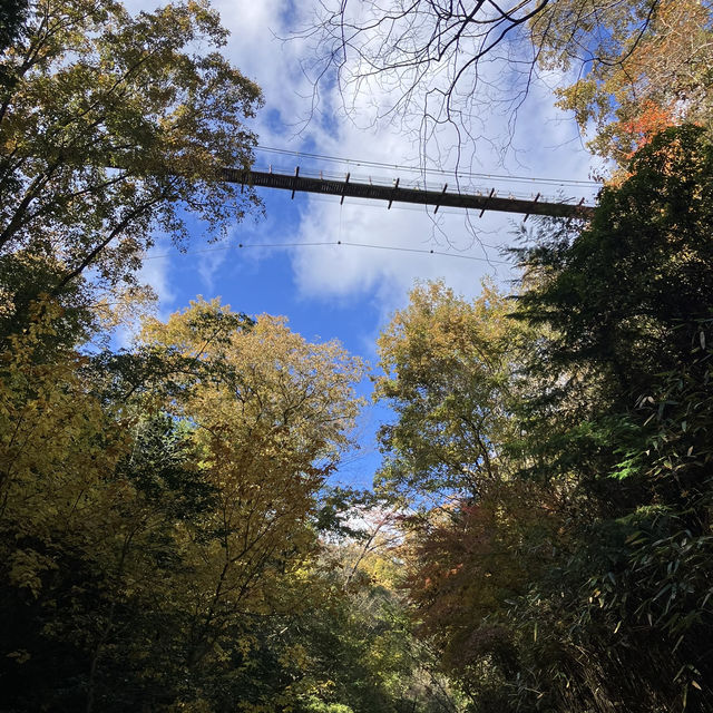 Hoshida Park และ สะพานแขวน Hoshi no Buranko