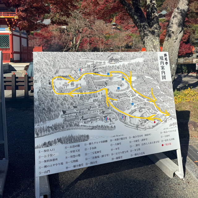 大阪近郊紅葉景點 - 勝尾寺🍁
