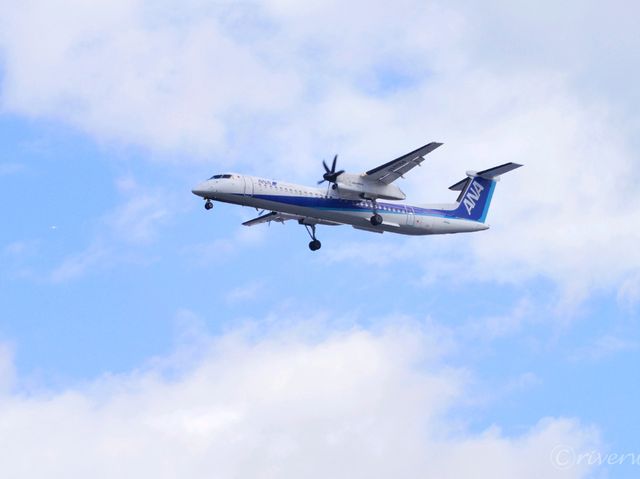 【大阪】頭上をすり抜ける迫力満点の飛行機！「千里川土手」