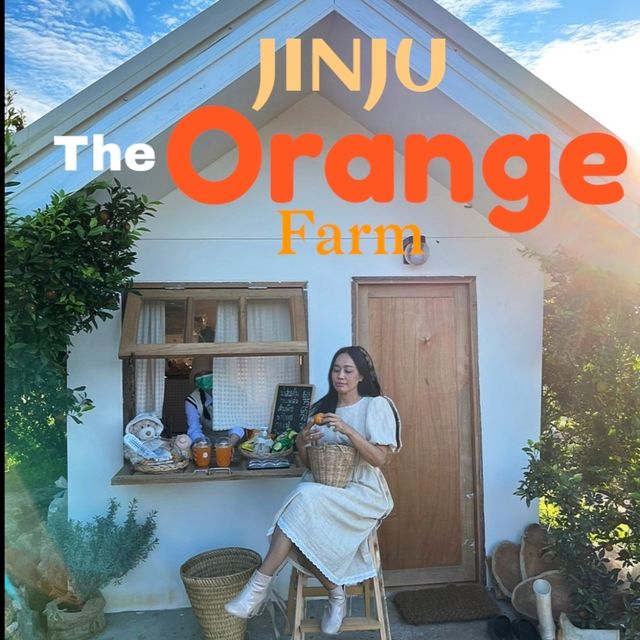 วิวดี ผลไม้หวาน ถ่ายรูปฟิน ที่จินจู 🍊🍊🍊