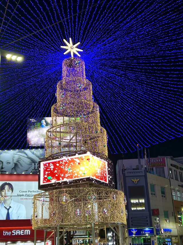 【韓国 釜山】2024光復路冬の光ツリー祭り🎄