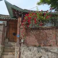 Walking Through History: The Beauty of Bukchon Hanok Village!