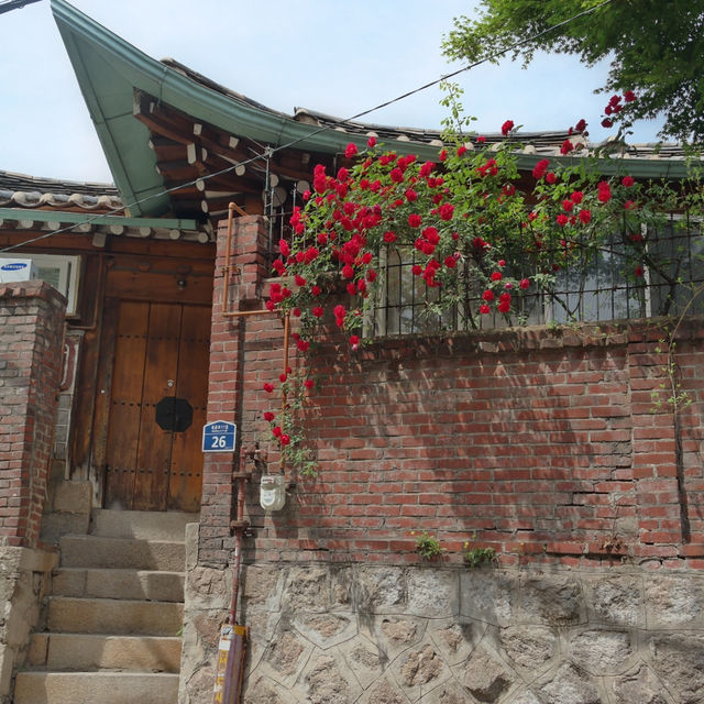 Walking Through History: The Beauty of Bukchon Hanok Village!
