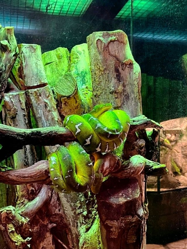 馬拉加近郊的大型動物園