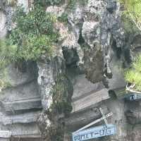 Sky-High Traditions: The Hanging Coffins of Sagada