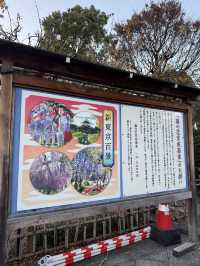 静かな境内で季節の移ろいを感じる『亀戸天神』