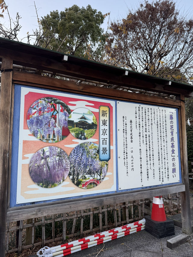 静かな境内で季節の移ろいを感じる『亀戸天神』