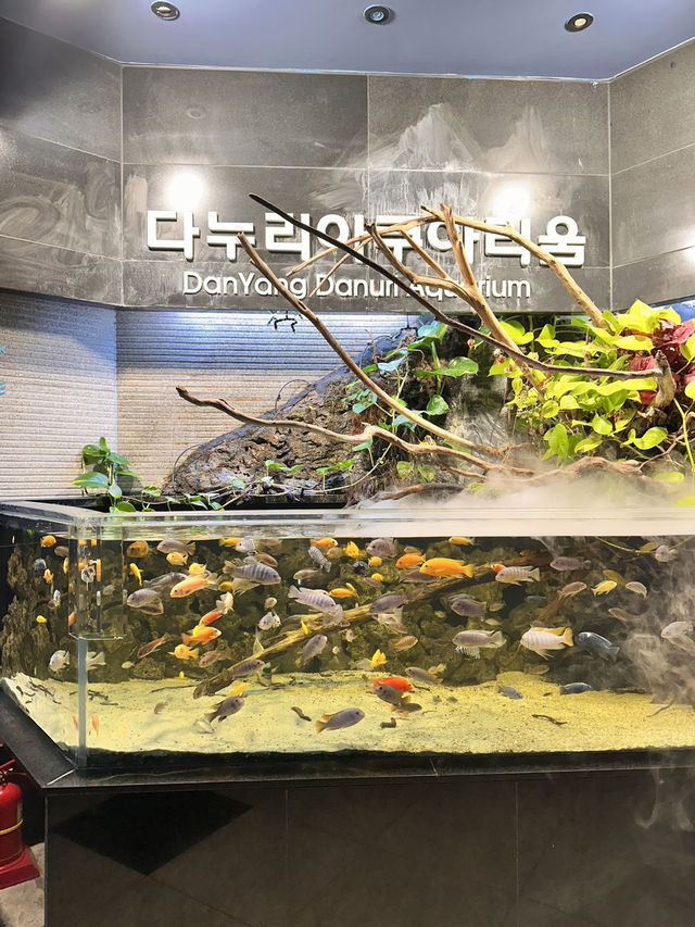 겨울 단양여행 필수코스