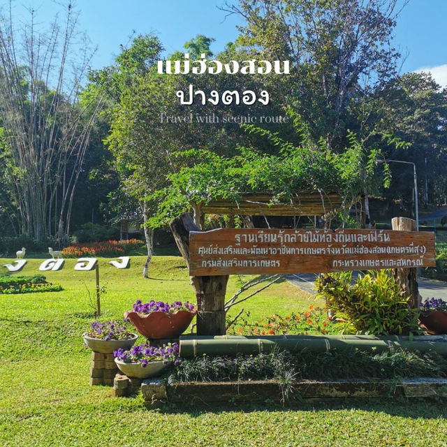 เที่ยวแม่ฮ่องสอน 9 สถานที่ฮิต ที่สายธรรมชาติต้องมา