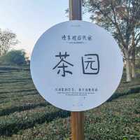 惠洲慢享欖園一個適合親子的民宿