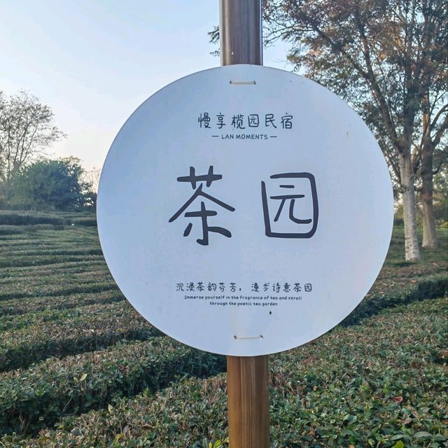 惠洲慢享欖園一個適合親子的民宿