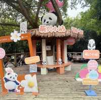 A Must-Visit for Panda Lovers 🐼