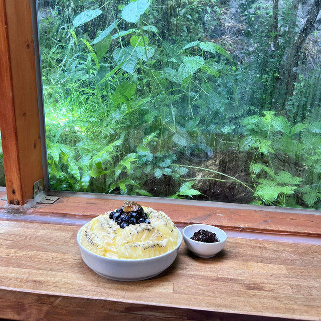 동남아 분위기 같던 까멜리아 인 구룡포 포항카페🌿