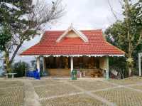 Wat Doi Pha Tang วัดดอยผาตั้ง ไหว้พระเชียงราย