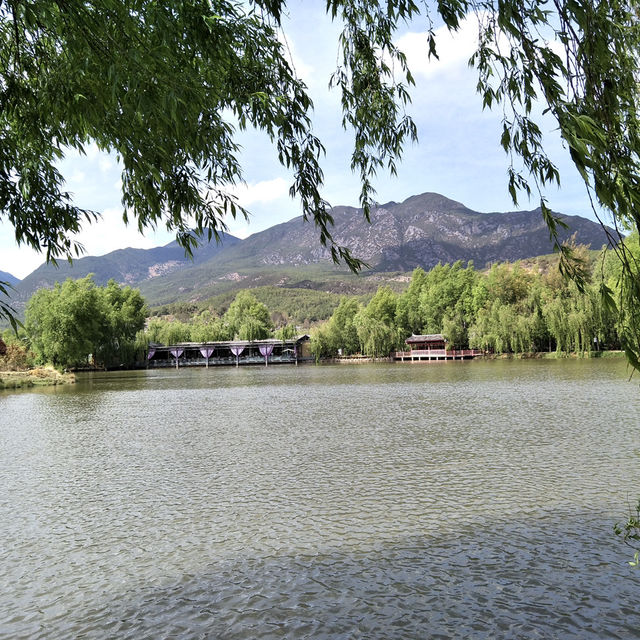 Kayaking Bliss: A Serene Adventure at Erhai Lake
