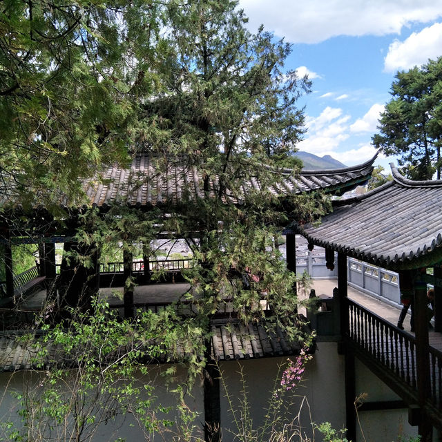 Lijiang’s Hidden Gem: A Day at Lion Hill and Wangu Tower