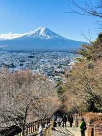 【山梨 冬の日帰り旅】富士山と五重塔の絶景 人気のスポット！