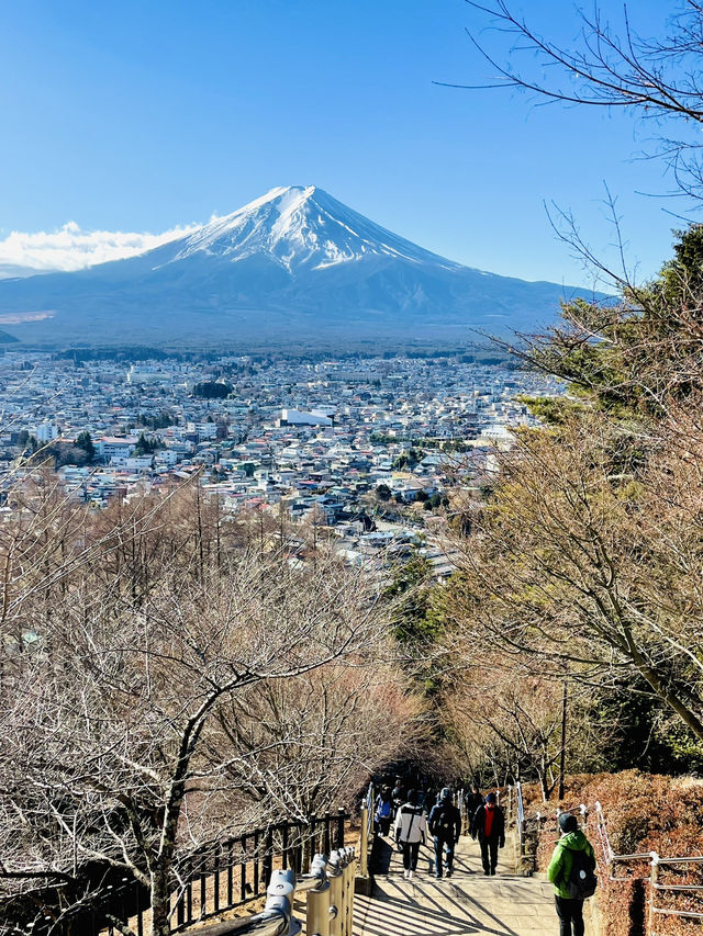 【山梨 冬の日帰り旅】富士山と五重塔の絶景 人気のスポット！