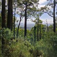Kokoda Memorial walk