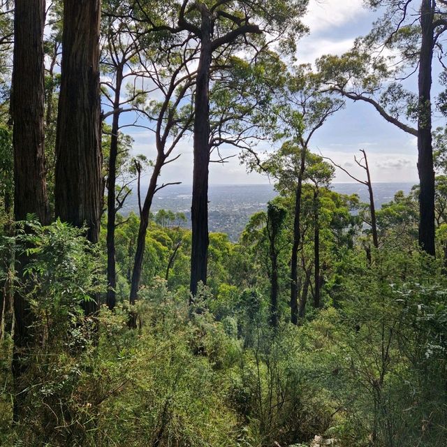 Kokoda Memorial walk